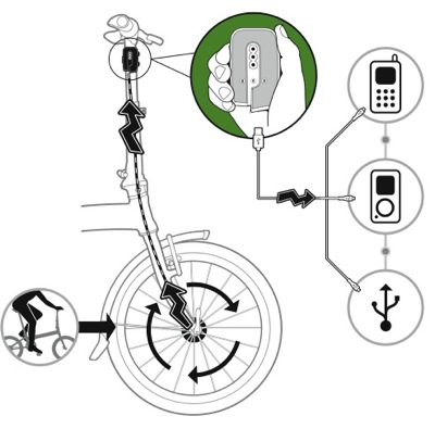 Biologic fashion bike